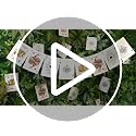 Wonderland Tea Party Hanging Decoration - 20 Pcs Teapot Banner