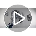 6-Pack Metallic Silver Paper Fans | Party Decorations for All Occasions