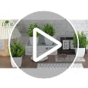 4 Pack Small Artificial Plants for Home and Bathroom Decor