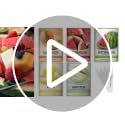 5 Variety Pack Melon Seeds - Cantaloupe, Watermelon & Honeydew