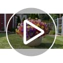16 Bundles of UV Resistant Artificial Flowers in Mixed Colors