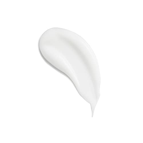 DHC Rich Moisturizer - Lightweight Hydrating Face Cream for Dull Skin, 3.3 oz
