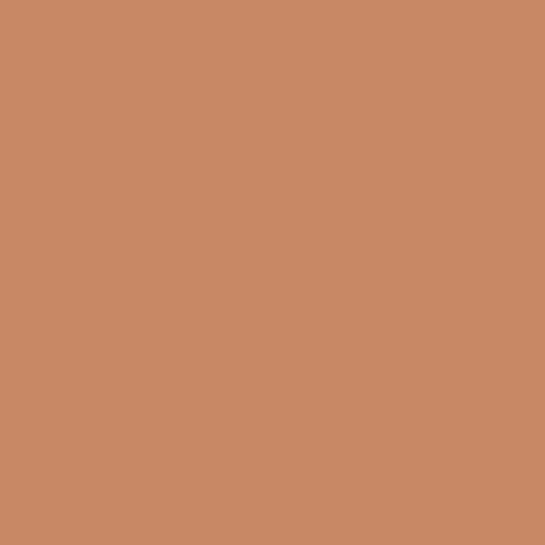 Neutrogena Hydro Boost Hydrating Foundation Stick - Honey, 0.29 oz
