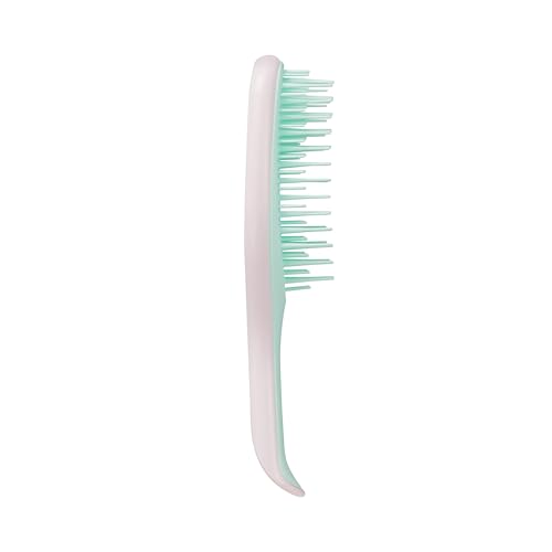 Tangle Teezer Mini Wet Detangler Hairbrush - Travel-Friendly, Frizz-Free Shine