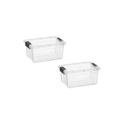 Superio 1.05 Quart Mini Clear Plastic Storage Container - 2 Pack