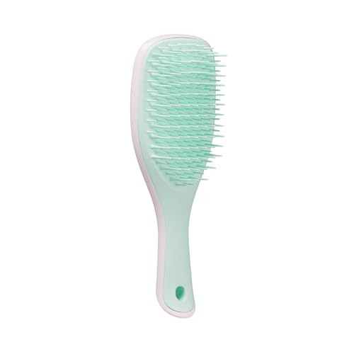 Tangle Teezer Mini Wet Detangler Hairbrush - Travel-Friendly, Frizz-Free Shine