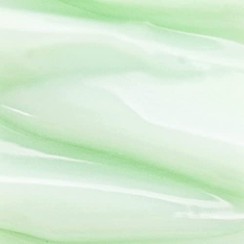 BioClarity Skin Smoothie Gel Moisturizer for Normal to Oily Skin, 2 Fl Oz