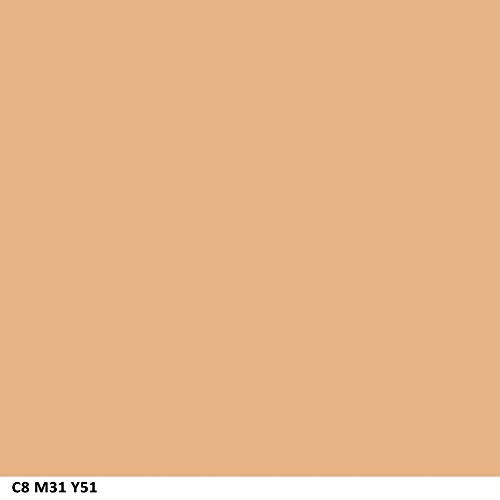 COVERGIRL Ready Set Gorgeous Concealer Medium/Deep 0.37 oz (Pack of 2)