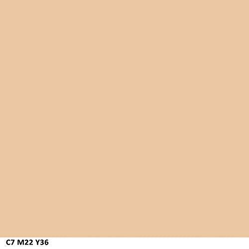 COVERGIRL Clean Matte Concealer Fair 110 Pack of 2, Oil-Free, Lightweight, 0.37 Fl Oz