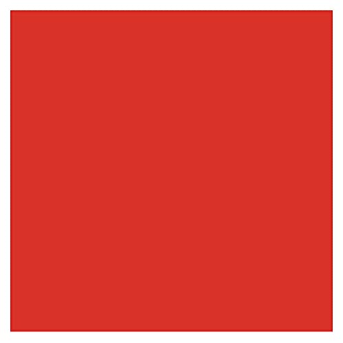 REVLON Kiss Cushion Lip Tint - High End Coral Lipstick
