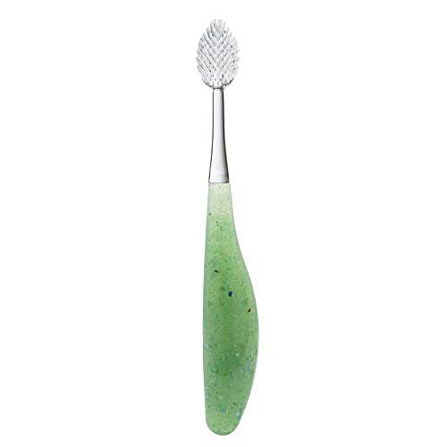 RADIUS Source Flossing Toothbrush - BPA Free, ADA Accepted