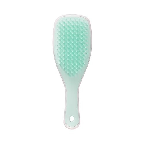 Tangle Teezer Mini Wet Detangler Hairbrush - Travel-Friendly, Frizz-Free Shine