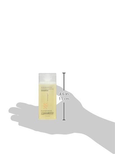 GIOVANNI 50:50 Balanced Hydrating Clarifying Shampoo, 2 Fl Oz