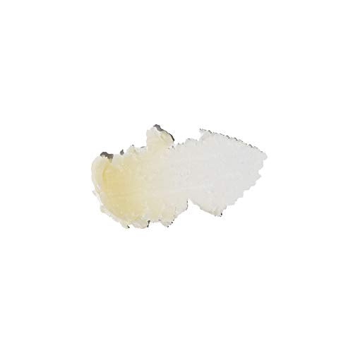 Sun Bum Wild Strawberry Cocobalm - Hydrating Lip Balm Duo