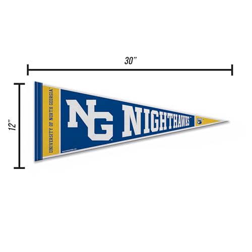 North Georgia Nighthawks 12" x 30" Felt Pennant Wall Decor