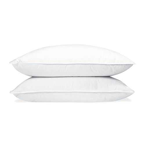 Protect360 Queen Pillow Protectors - Set of 2, Waterproof with Microban