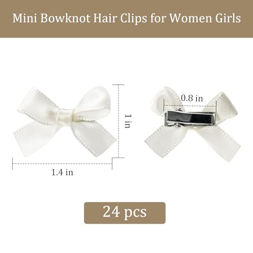 24-Piece Mini Bowknot Hair Clips Set for Women & Girls