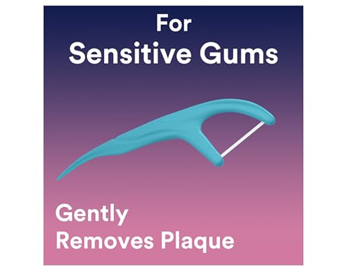 DenTek Comfort Clean Floss Picks - Sensitive Gums, Fresh Mint, 150 Count (2 Pack)