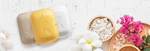 Melaleuca Pineapple Mango Body Bar - Natural Moisturizing Bath Soap