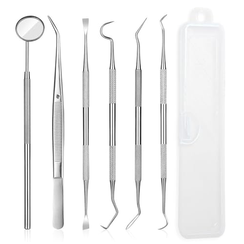 Ceonam 6-Piece Dental Tools Set — Stainless Steel Oral Care Kit with Mirror, Tweezers, Probe, Scaler & Case