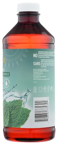 Desert Essence Prebiotic Mint Brushing Rinse - 15.8 fl oz, Alcohol Free