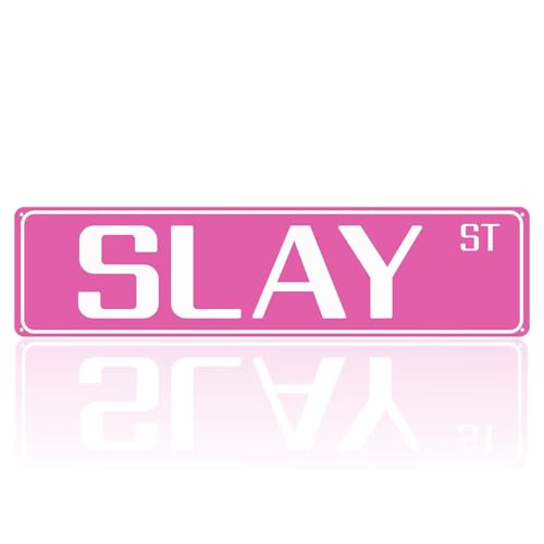Funny Pink Street Sign Wall Decor - 16" x 4" for Teen Rooms