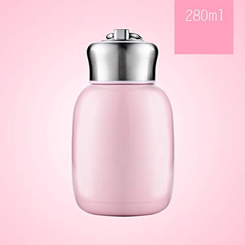 Mini 9.46 oz Stainless Steel Vacuum Insulated Water Bottle - Leak Proof & Portable for Kids & Adults (Pink)