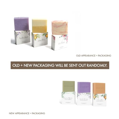 Natural Amor Handmade Soap Set with Lavender, Peppermint & Citrus - 3 x 3.5oz Gift Boxes