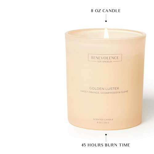 Golden Luster Scented Candle | Orange, Cedarwood & Clove | 8oz