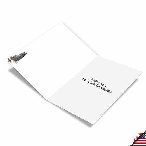 NobleWorks Mooning Duck Birthday Greeting Cards - Pack of 3