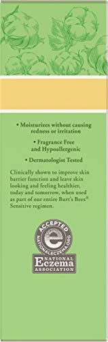 Burt's Bees Sensitive Face Moisturizer - Natural, Fragrance-Free, 1.8 oz