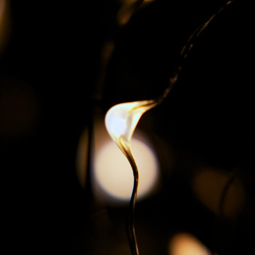 100 LED Warm White String Lights - 32ft Silver Wire, Indoor-Outdoor