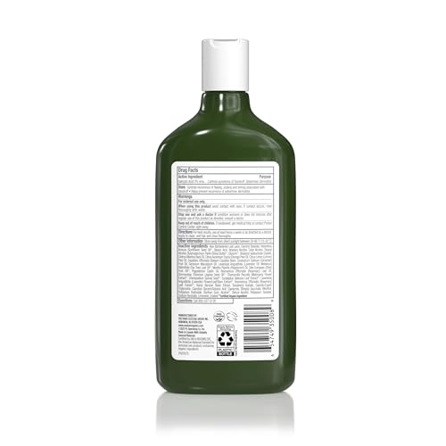 Avalon Organics Anti-Dandruff Shampoo | 2% Salicylic Acid, 11 Fl Oz