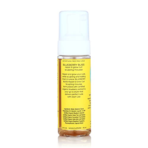 Curls Blueberry Bliss Curl Sculpting Mousse - 5.75 oz for Curly Hair