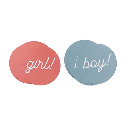 Gender Reveal Stickers - Pink & Blue Baby Shower Party Favors