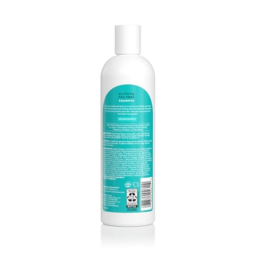 Jason Tea Tree Shampoo 12 oz - Nourishing & Soothing Formula