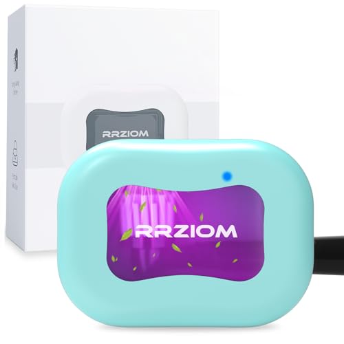 RRZIOM Blue Toothbrush Sanitizer Case - Portable Rechargeable Cleaner