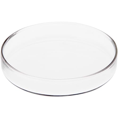 Plymor 3-Inch Round Glass Display Tray for Trinkets & Decor
