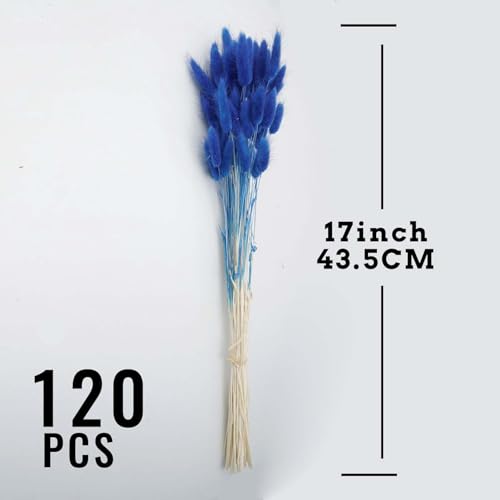 120pcs Blue Dried Bunny Tail Pampas Grass for Boho Decor