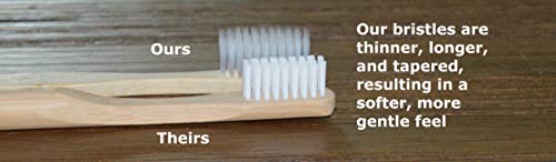 Orasoft Extra Soft Toothbrush Pack for Sensitive Gums Adults Kids
