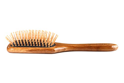 Bass Professional Bamboo Paddle Hair Brush with Nylon Pins - Small
