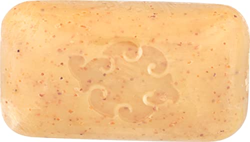 Baudelaire Spice Fragrance Loofah Soap Bar 5oz Natural Exfoliating Skin Care