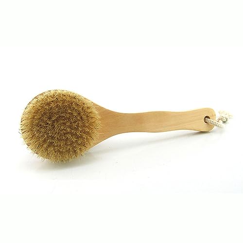 HiKin 9.84 Inch Dry Body Brush with Short Wooden Handle & Natural Bristles