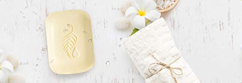 Melaleuca Pineapple Mango Body Bar - Natural Moisturizing Bath Soap