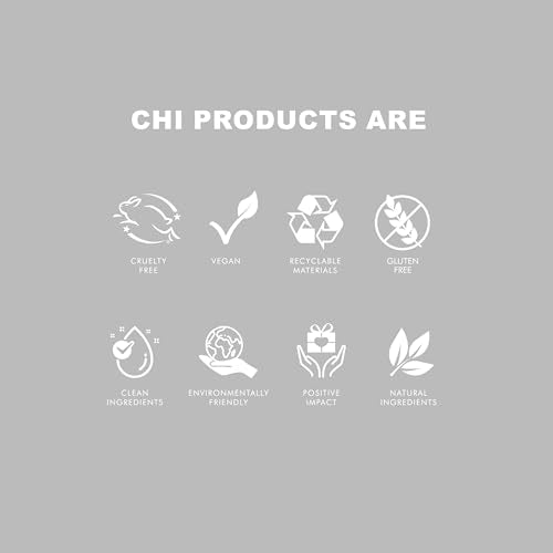 CHI Dry Shampoo 2.6 Oz - Lightweight Oil Absorbing Formula