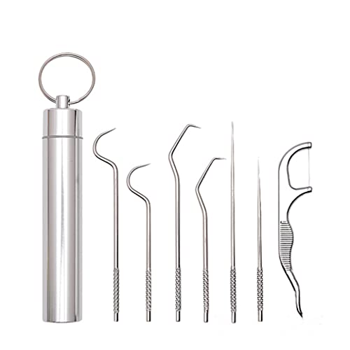 Reusable Stainless Steel Toothpick Set for Teeth Cleaning with Holder - Portable Dental Picks for Travel & Outdoor Use