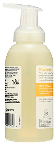 Foaming Hand Soap Satsuma Eucalyptus - 12 Fl Oz (Pack of 2)