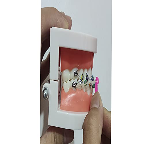 30Pcs Dental Elastic Rubber Bands Placers for Braces - Orthodontic Elastic Tool
