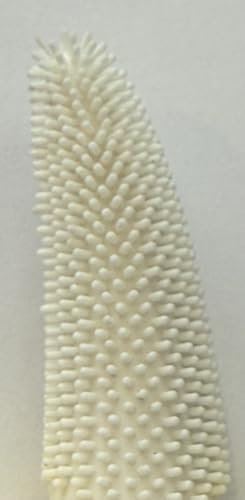 Hero Banana Adaptive Toothbrush for Sensitive Gums - Gentle Grip Design