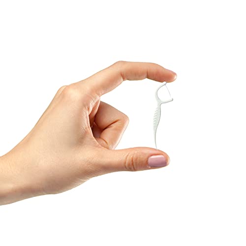 Setaria Viridis Dental Floss Picks - 100 High Toughness Picks with Cases